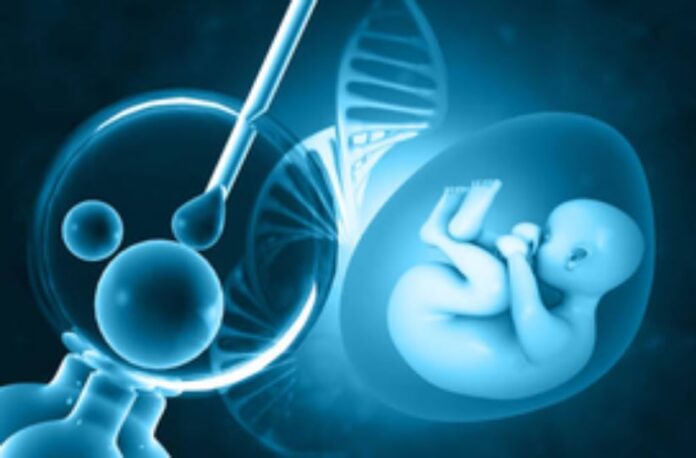 WED_IVF