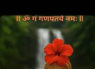 नौकरी की तलाश हो या करियर की रुकावट, बप्पा का यह ‘गणेश स्तोत्र’ हर मुश्किल का अचूक समाधान