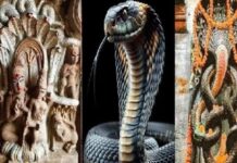 नाग देवता के इन 5 मंदिरों में दर्शन का है विशेष महत्व, नाग पंचमी पर उमड़ती है श्रद्धालुओं की भीड़