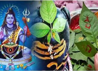 भगवान शिव की पूजा में बेलपत्र का विशेष महत्व, जानें क्यों प्रिय है महादेव को बेलपत्र
