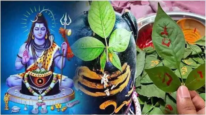 shiv