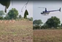 खेतों में फंसे काले हिरणों के रेस्क्यू अभियान का जायजा लेने पहुंचे CM मोहन यादव, हेलीकॉप्टर से हो रहा रेस्क्यू