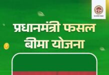 मुख्यमंत्री डॉ. मोहन यादव ने किसानों के खातों में अंतरित किए ₹317.86 करोड़, रबी 2025-26 के 16.70 लाख किसान आवेदनों को मिलेगा लाभ